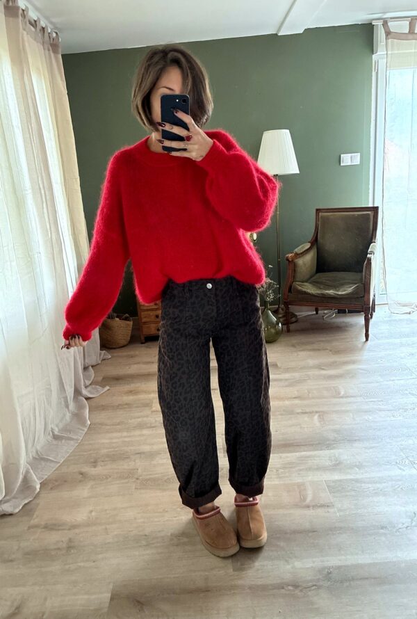 Jeans Tonic léopard, porté avec Pull Colette