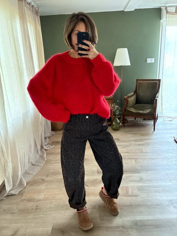 Jeans Tonic léopard, porté avec Pull Colette