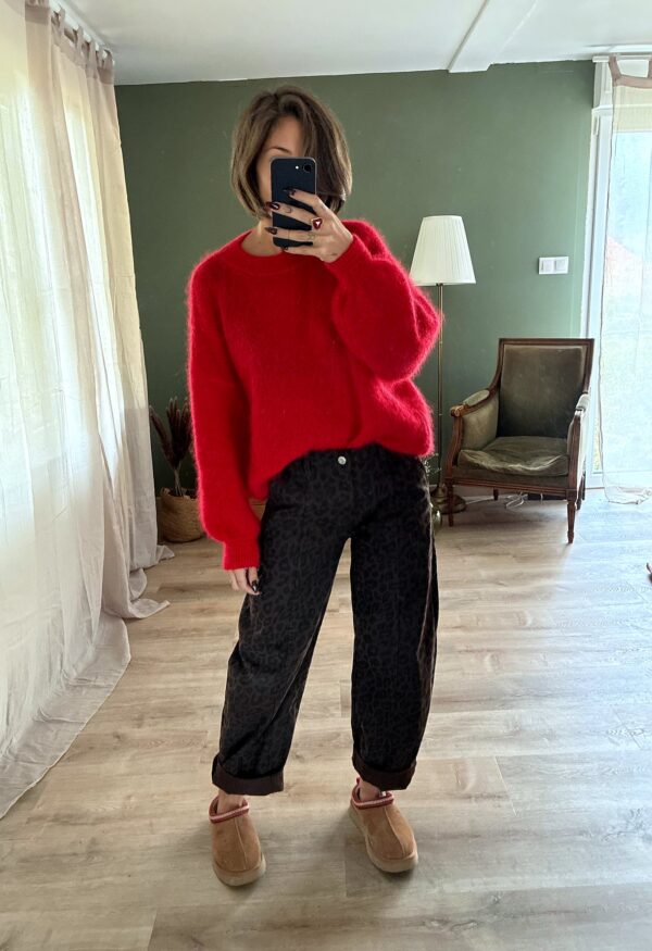 Jeans Tonic léopard, porté avec Pull Colette